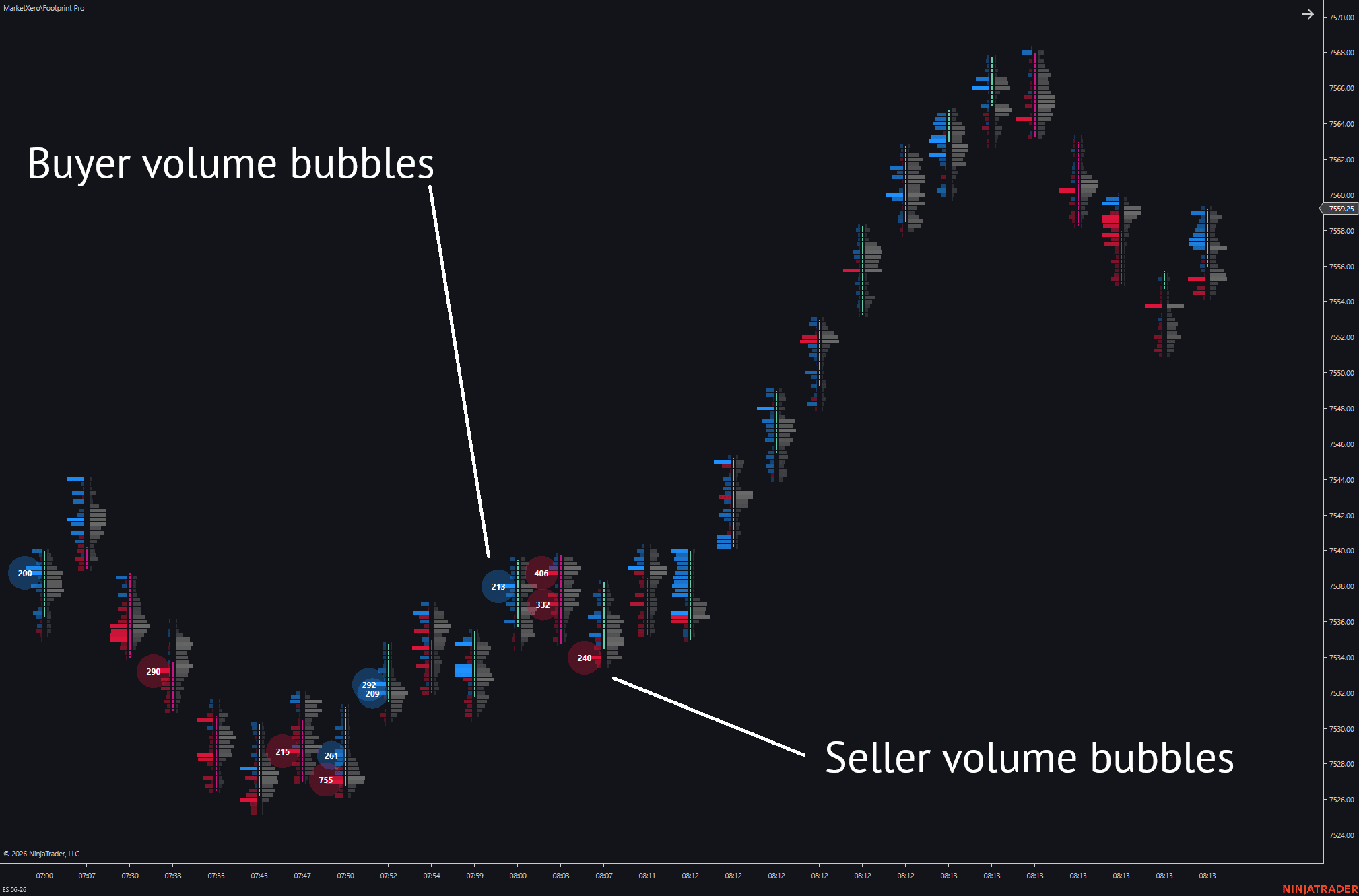 Annotated MarketXero Footprint volume bubble example
